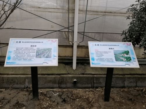 高顏值、高科技、高標準 張浦鎮“三維一體”高質量推進蔬菜基地建設與技術推廣